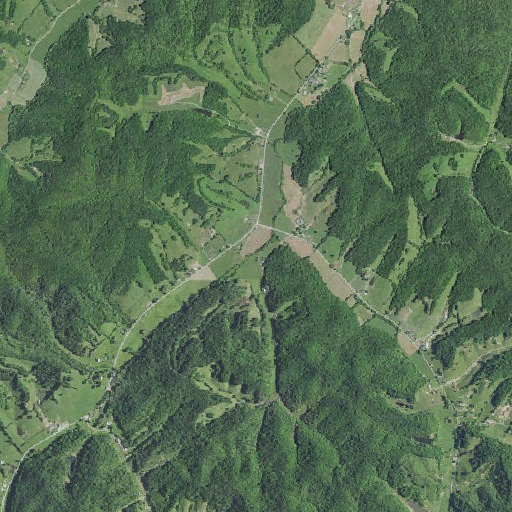 Aerial imagery of Bear Branch, KY