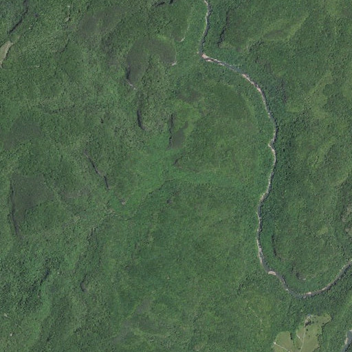 Aerial imagery of Beech Bingham Branch, KY