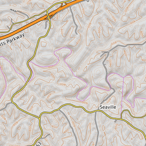 OpenTopoMap map of Beechroot Branch, KY