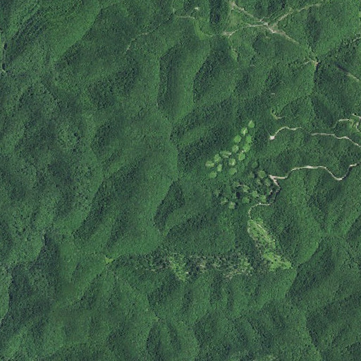 Aerial imagery of Big Laurel Branch, KY