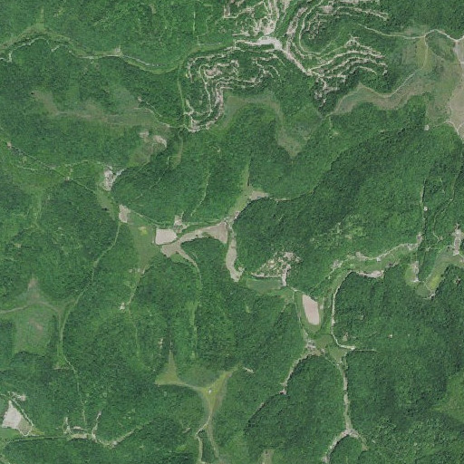Aerial imagery of Billy Branch, KY