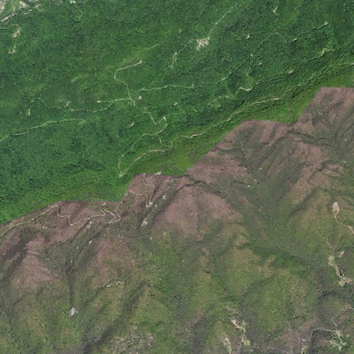Aerial imagery of Birch Gap, KY