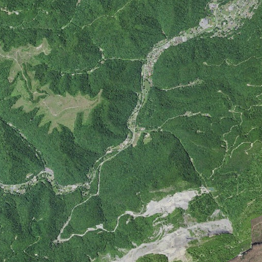 Aerial imagery of Blue Head Branch, KY