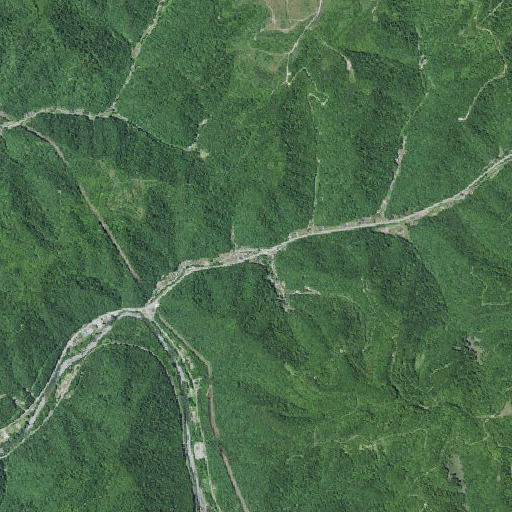 Aerial imagery of Blue Pond Fork, KY