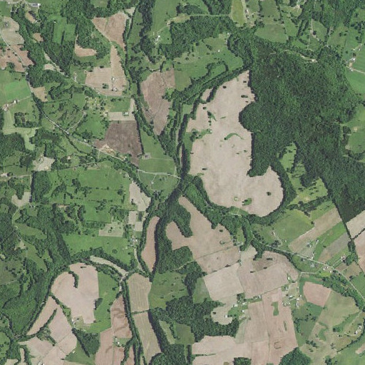 Aerial imagery of Blue Spring Branch, KY
