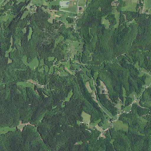 Aerial imagery of Blue Spring Branch, KY