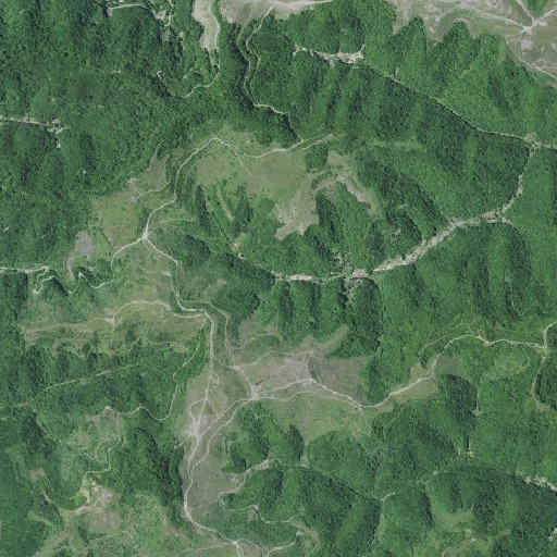 Aerial imagery of Blue Spring Branch, KY