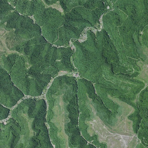 Aerial imagery of Blue Spring Branch, KY