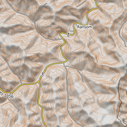 OpenTopoMap map of Blue Spring Branch, KY