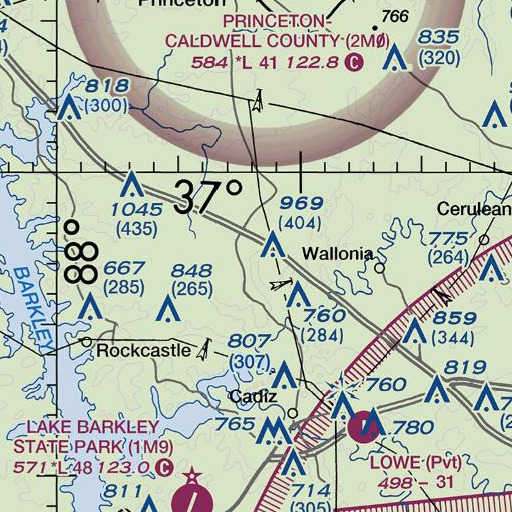 FAA VFR chart of Blue Spring Branch, KY