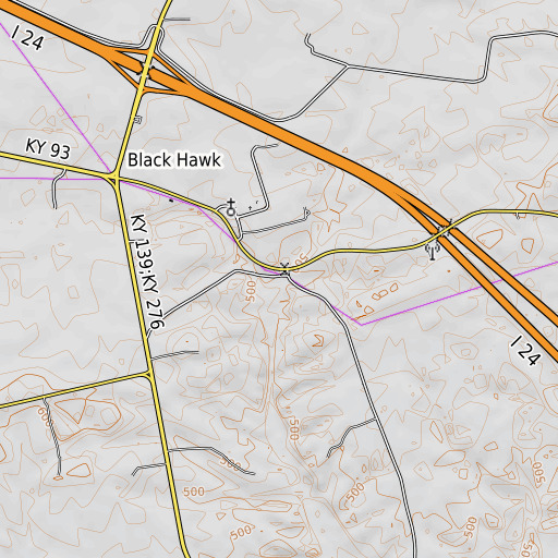 OpenTopoMap map of Blue Spring Branch, KY