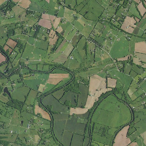 Aerial imagery of Blue Spring Branch, KY