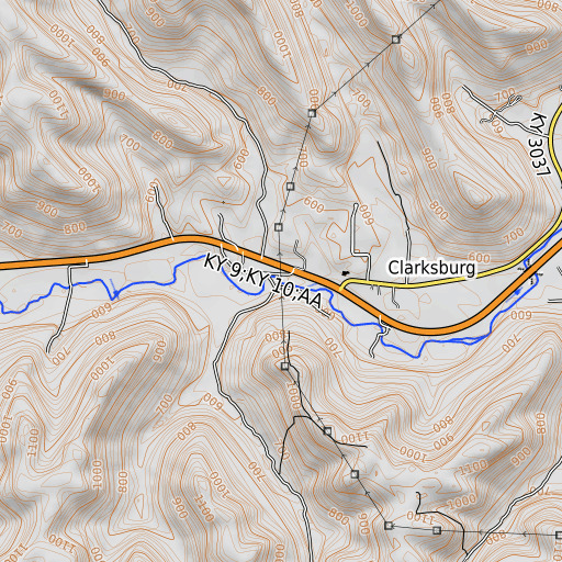 OpenTopoMap map of Blue Spring Branch, KY