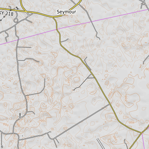 OpenTopoMap map of Blue Spring Creek, KY