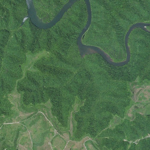 Aerial imagery of Blueford Fork, KY