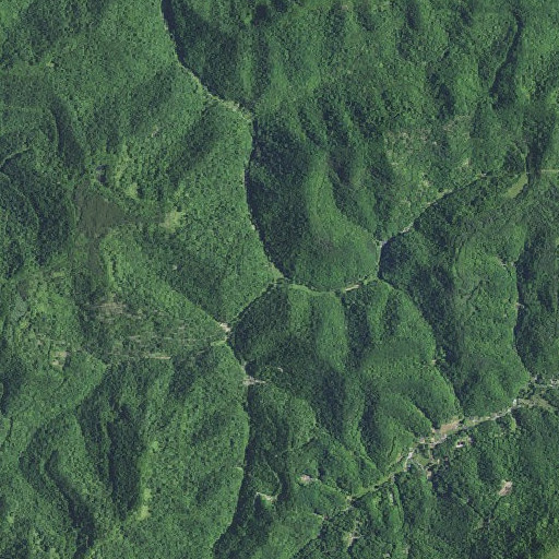 Aerial imagery of Bo Fork, KY