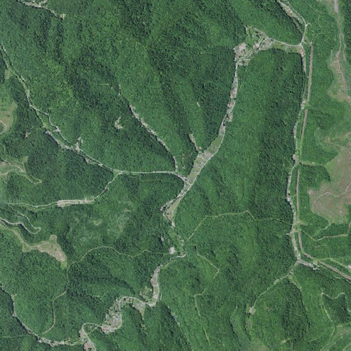 Aerial imagery of Board Fork, KY
