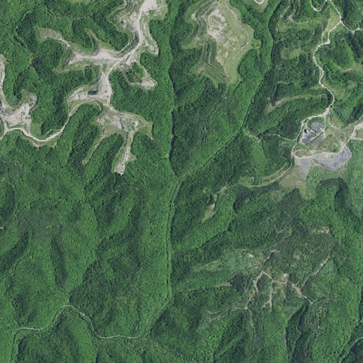 Aerial imagery of Boardinghouse Branch, KY