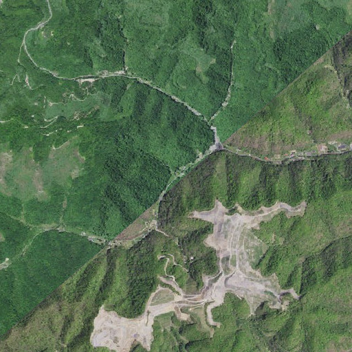 Aerial imagery of Boardtree Branch, KY