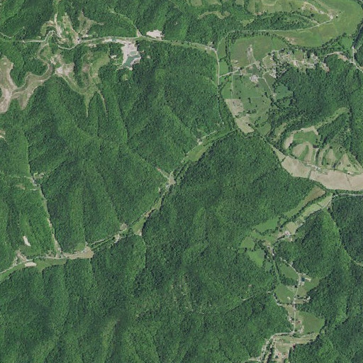 Aerial imagery of Boardtree Branch, KY