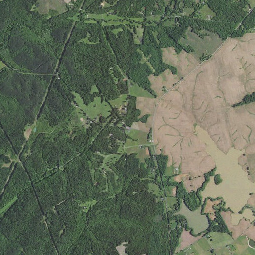 Aerial imagery of Boaz School, KY