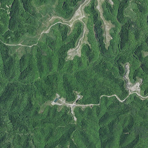 Aerial imagery of Bob Branch, KY