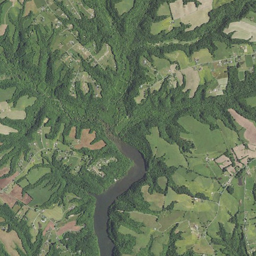 Aerial imagery of Bob Branch, KY