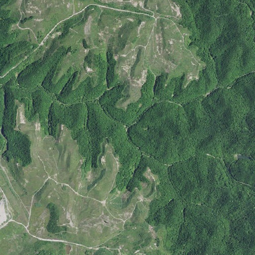 Aerial imagery of Boughcamp Branch, KY