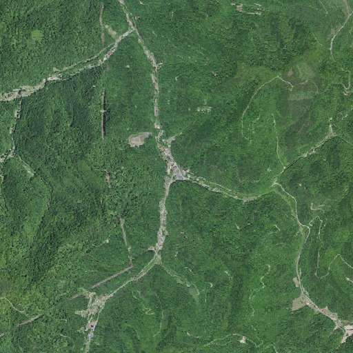 Aerial imagery of Brushy Branch, KY