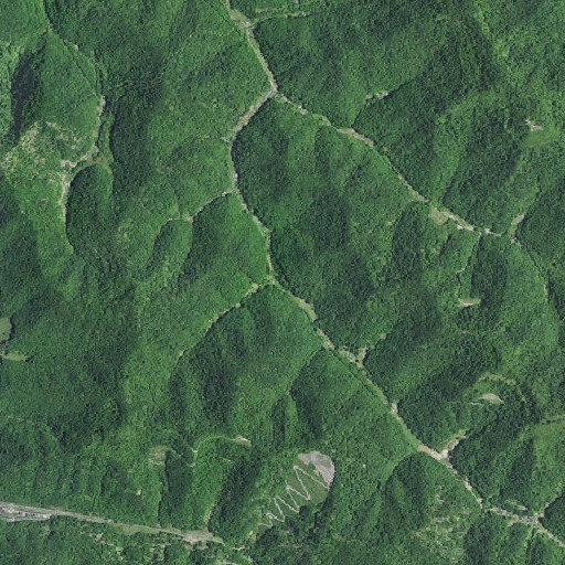 Aerial imagery of Buck Branch, KY