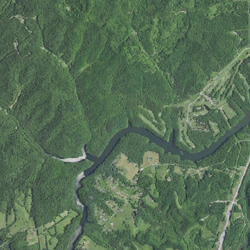 Aerial imagery of Buckeye Branch, KY