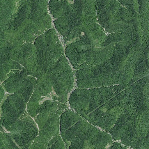 Aerial imagery of Bush Branch, KY