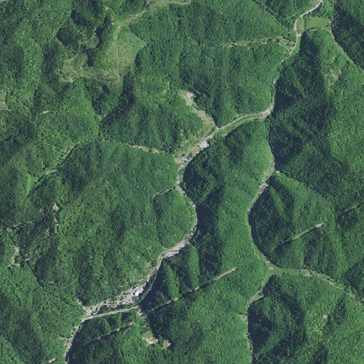 Aerial imagery of Buzzer Branch, KY