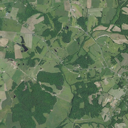 Aerial imagery of Cable Branch, KY