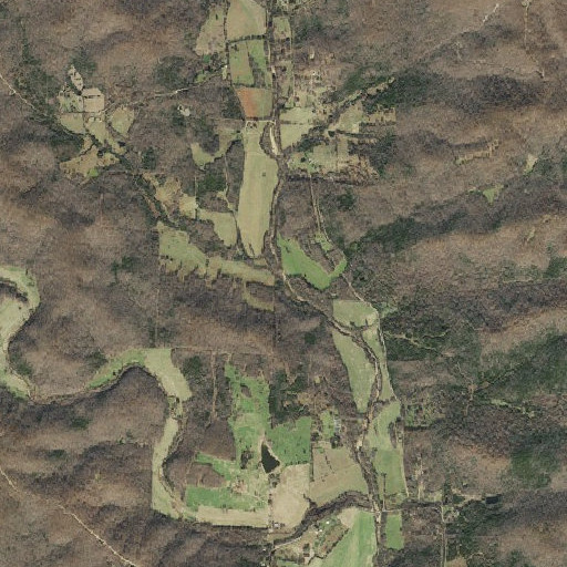 Aerial imagery of Ellis Branch, AR