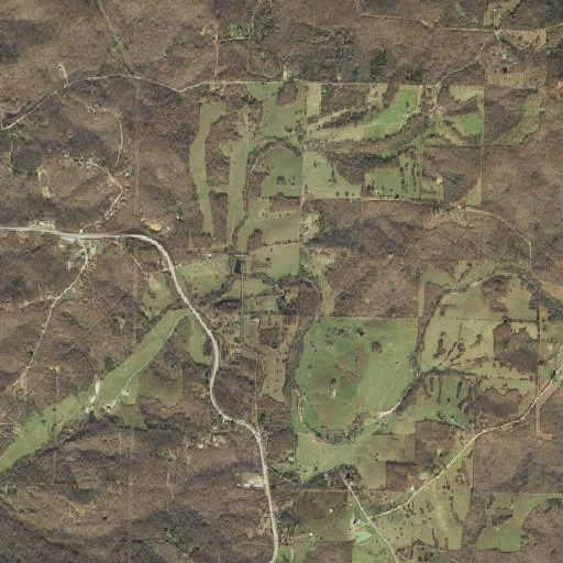 Aerial imagery of Ellis Spring, AR