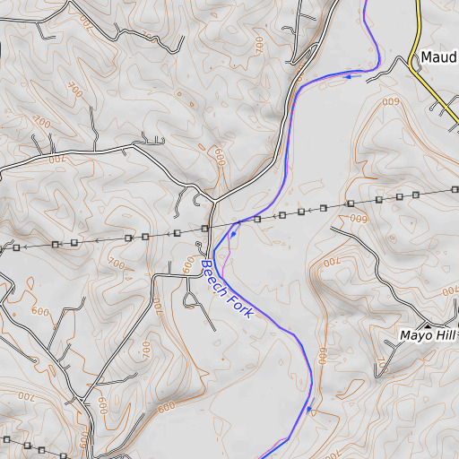 OpenTopoMap map of Camp Branch, KY