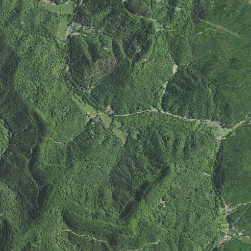 Aerial imagery of Carter Branch, KY