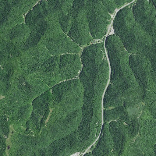 Aerial imagery of Chestnut Lick Branch, KY