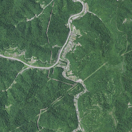 Aerial imagery of Coburn Branch, KY