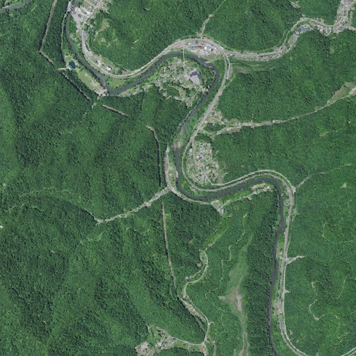 Aerial imagery of Coon Branch, KY