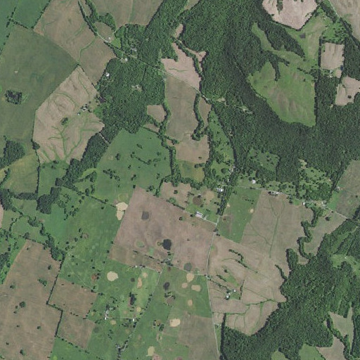 Aerial imagery of Cox Spring Branch, KY