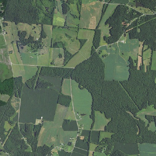Aerial imagery of Driskell Branch, KY