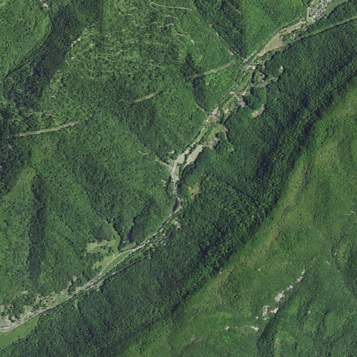Aerial imagery of Gabe Branch, KY