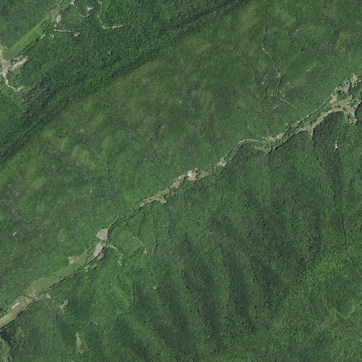 Aerial imagery of Gibson Branch, KY