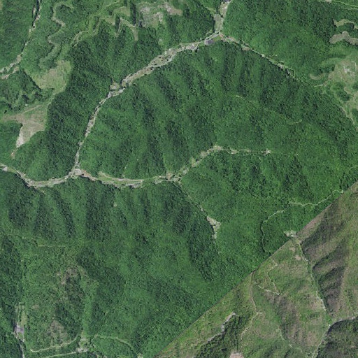 Aerial imagery of Henry Branch, KY