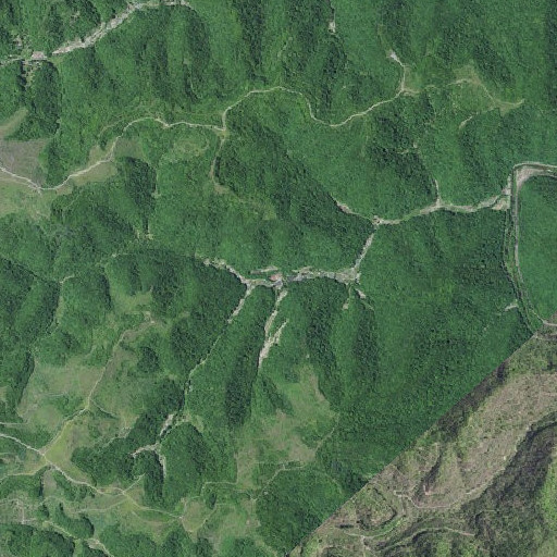 Aerial imagery of Jacks Branch, KY