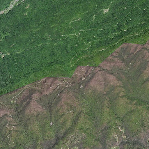 Aerial imagery of Jesse Gap, KY
