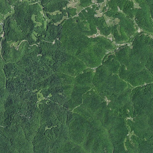 Aerial imagery of Johnson Branch, KY