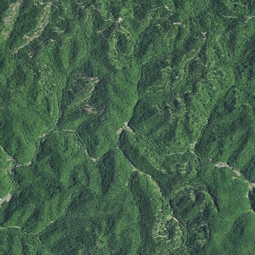 Aerial imagery of Joshua Branch, KY